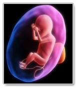 Thesis on Abortion