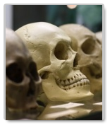Anthropology Dissertation