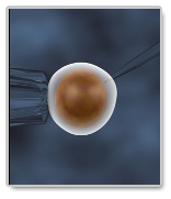 essays on stem cell research