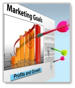 dissertation in Marketing