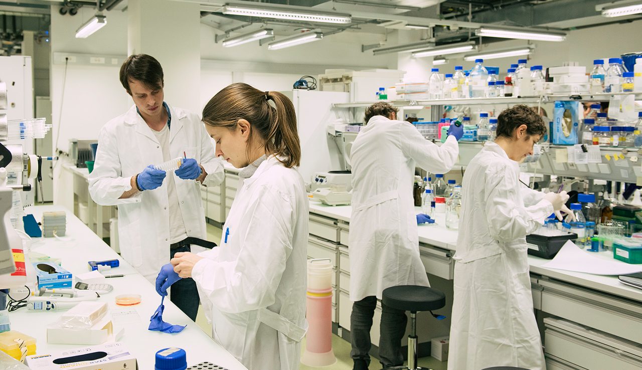 Dissertation Internships One More Way to Make an Outstanding Project