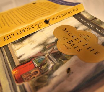 The Secret Life of Bees Essays: Themes to Consider